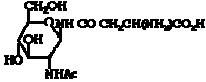 各种糖肽定制合成(图1)