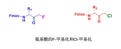 FMK / CMK 多肽修饰技术(图1)